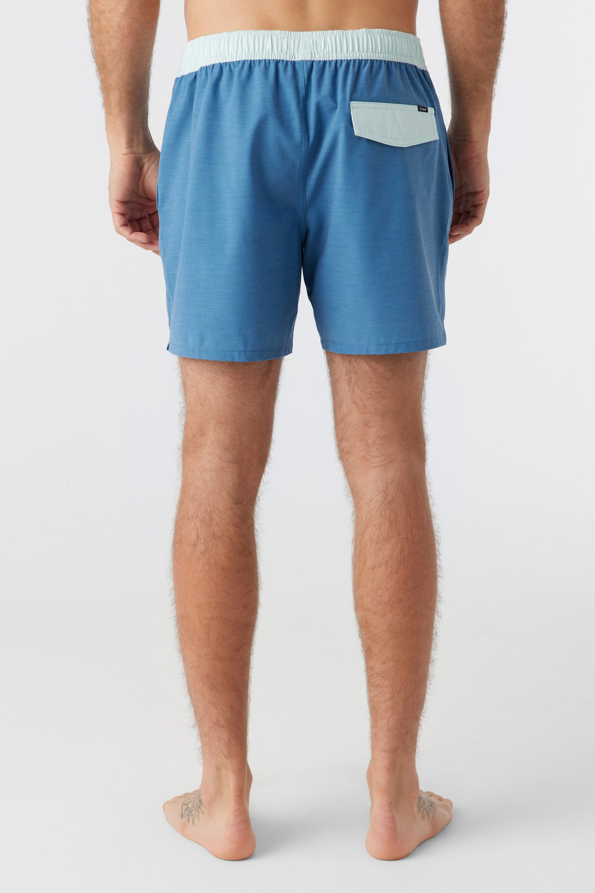 OG SOLID VOLLEY 16''