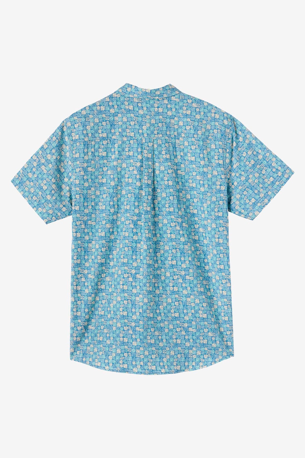 OASIS ECO TOP