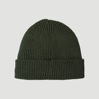 O'Neill Mens Bouncer Beanie in Forest Night