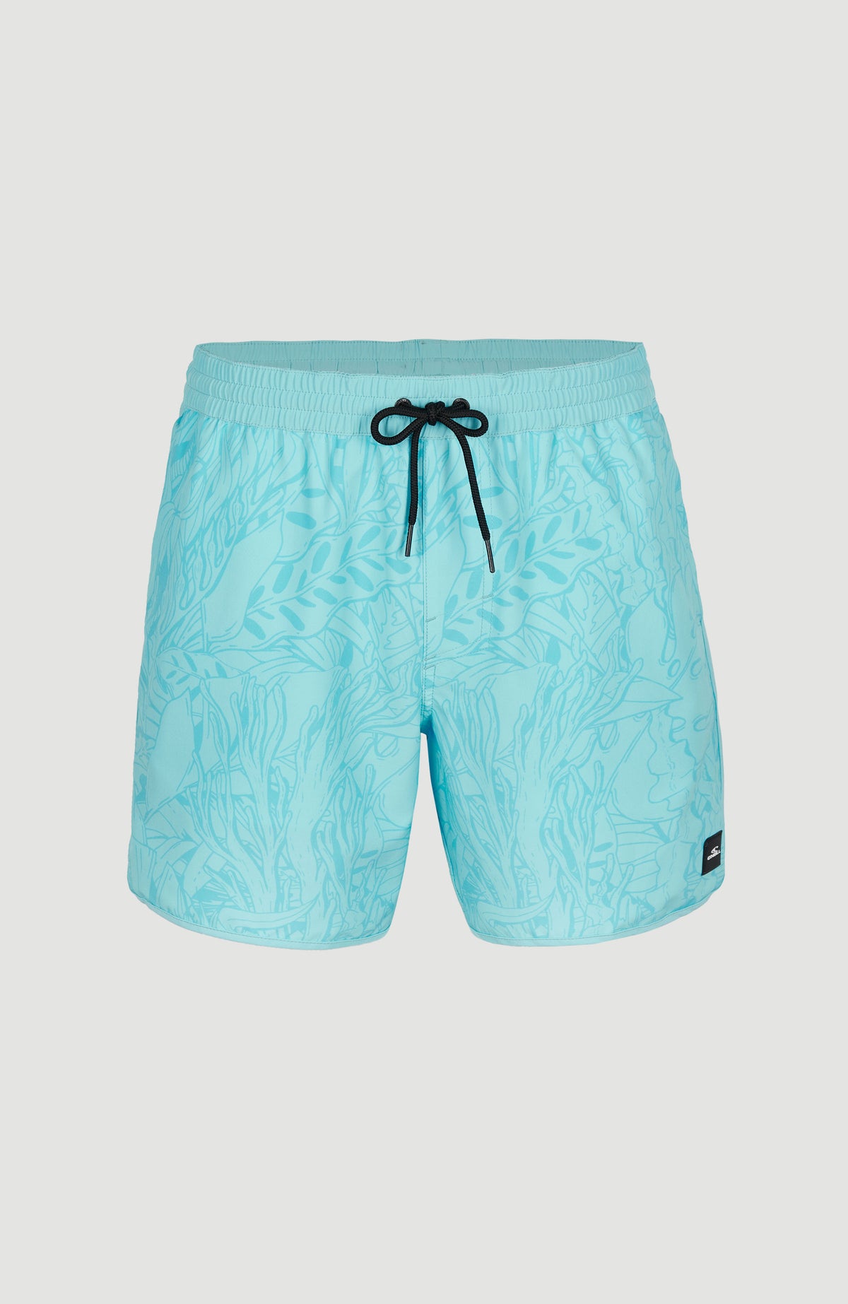 SCALLOP OCEAN 16'' VOLLEY