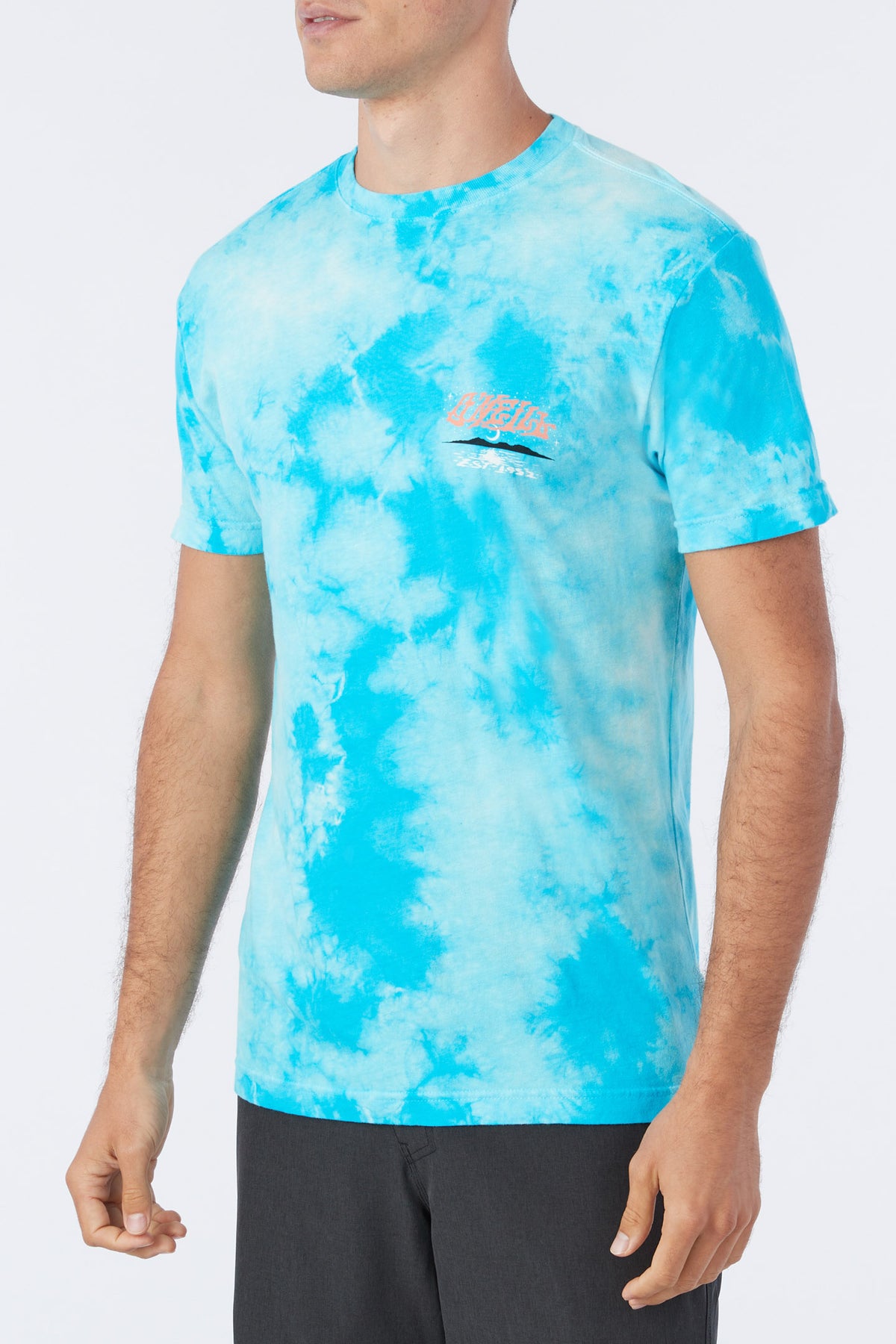 HIGHPOINT ARTIST SERIES TEE