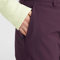 STAR INSULATED SNOW PANT