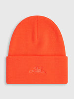 SNOW BEANIE