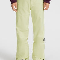 HAMMER INSULATED SNOW PANTS