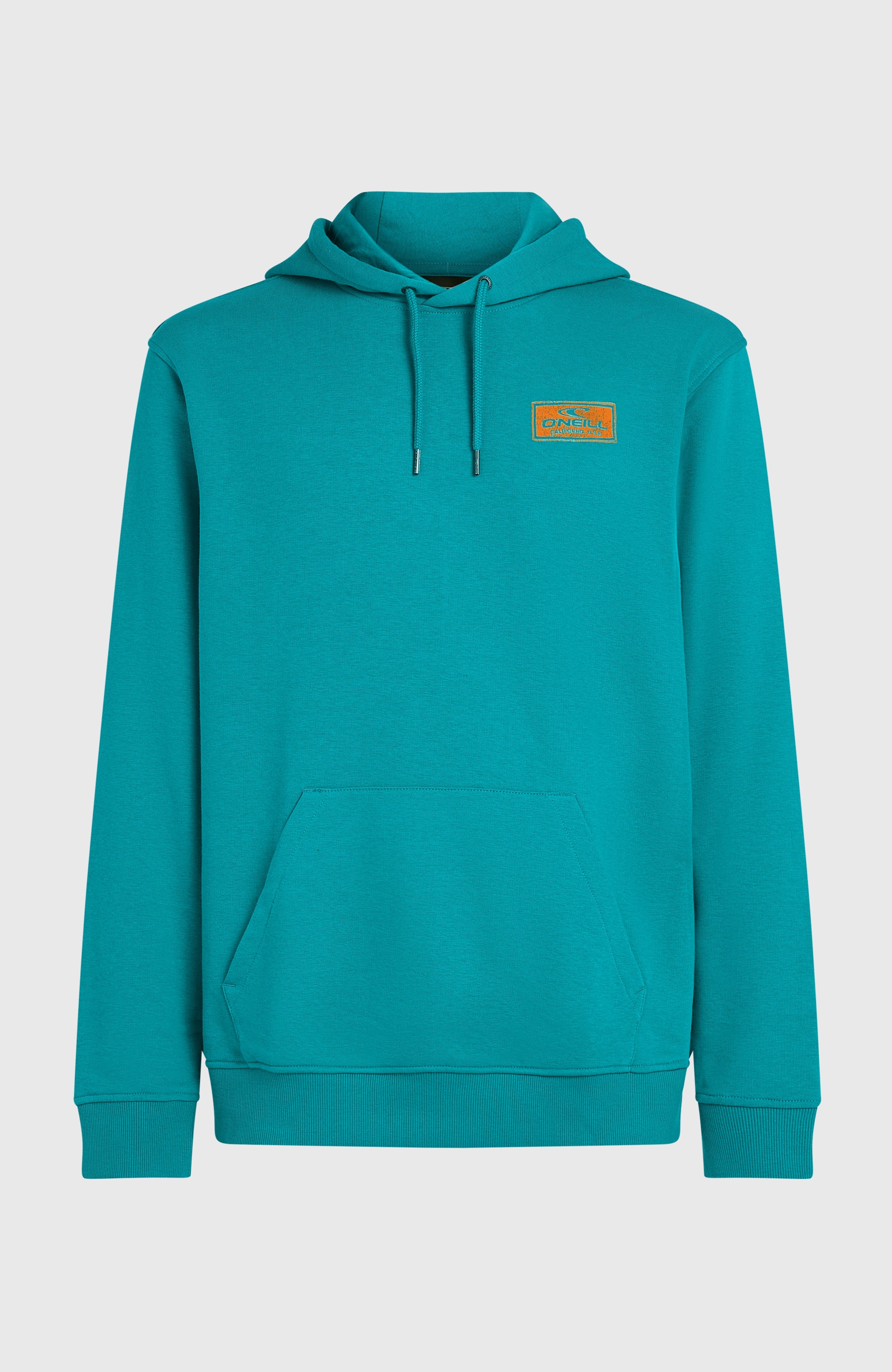 GRAPHIC HOODY