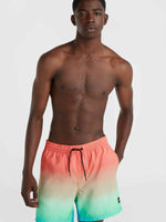 CALI GRADIENT 15'' VOLLEYS