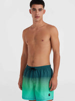 CALI GRADIENT 15'' VOLLEYS