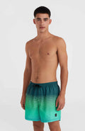 CALI GRADIENT 15'' VOLLEYS