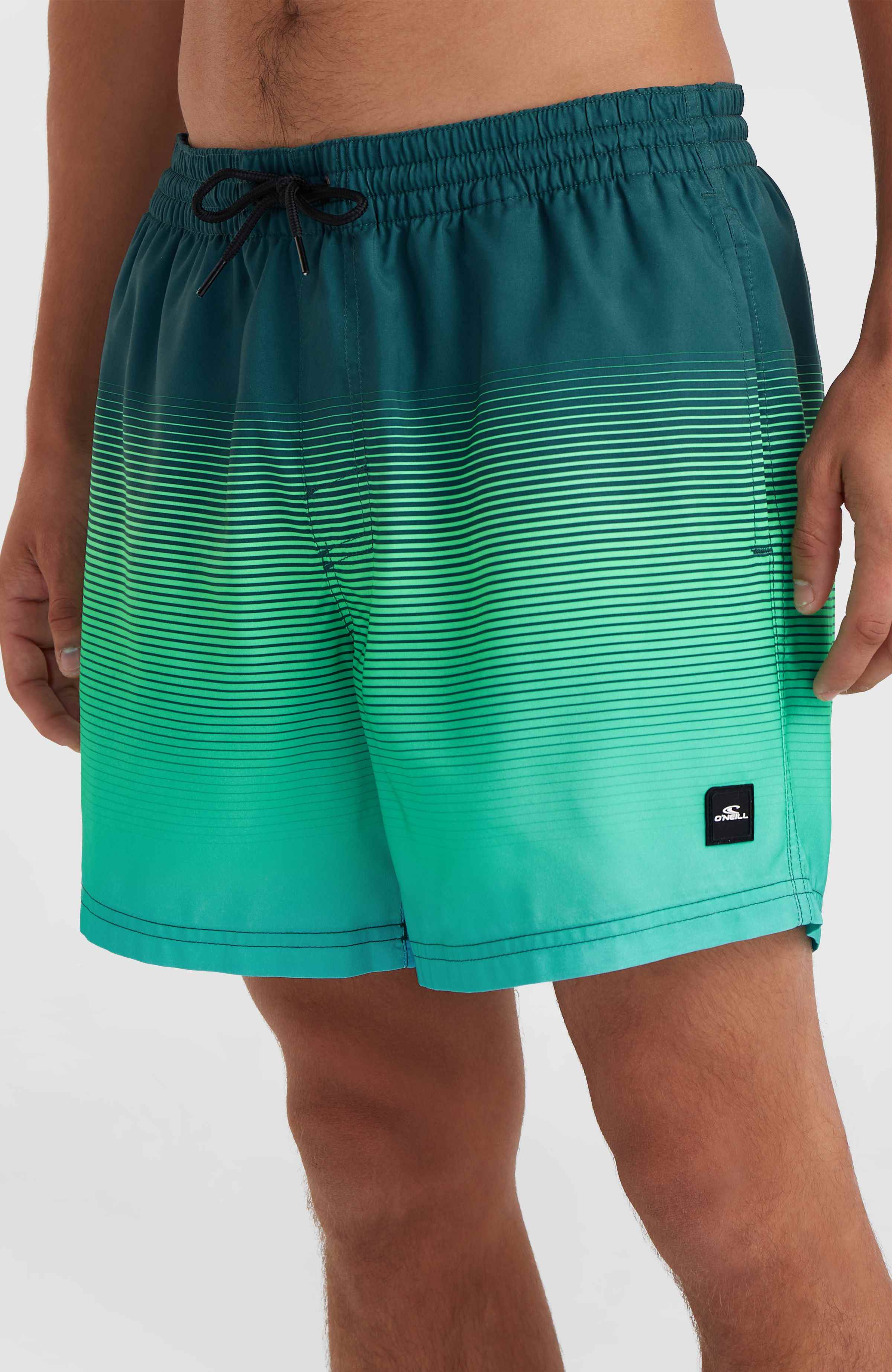 CALI GRADIENT 15'' VOLLEYS