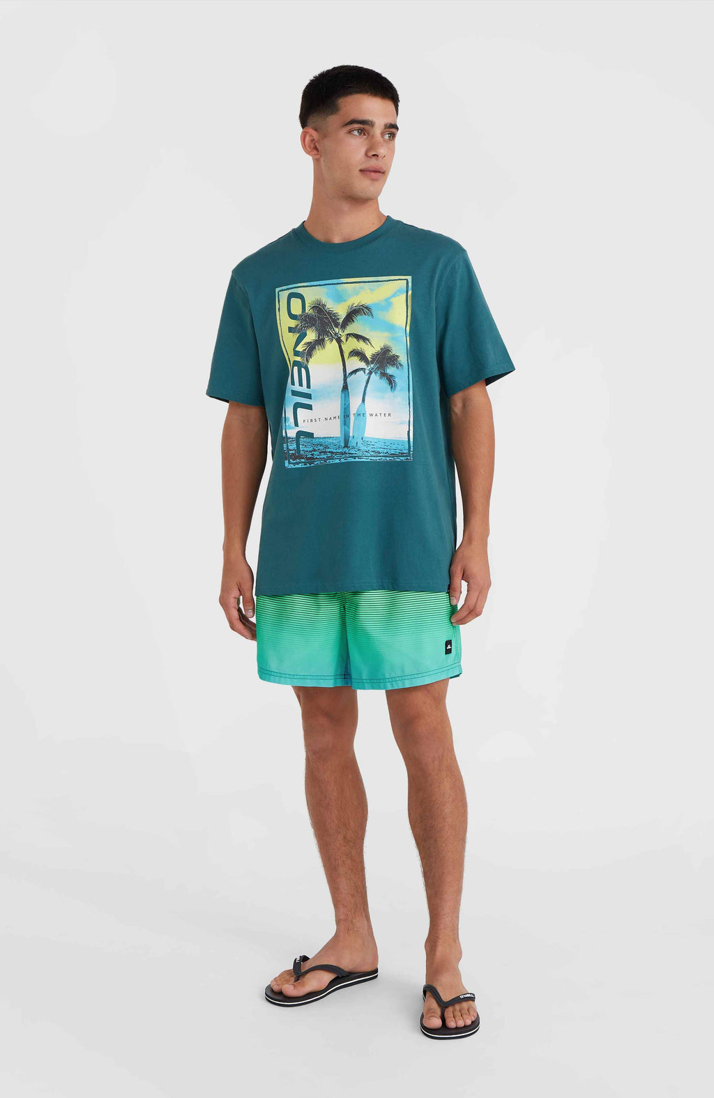 CALI GRADIENT 15'' VOLLEYS