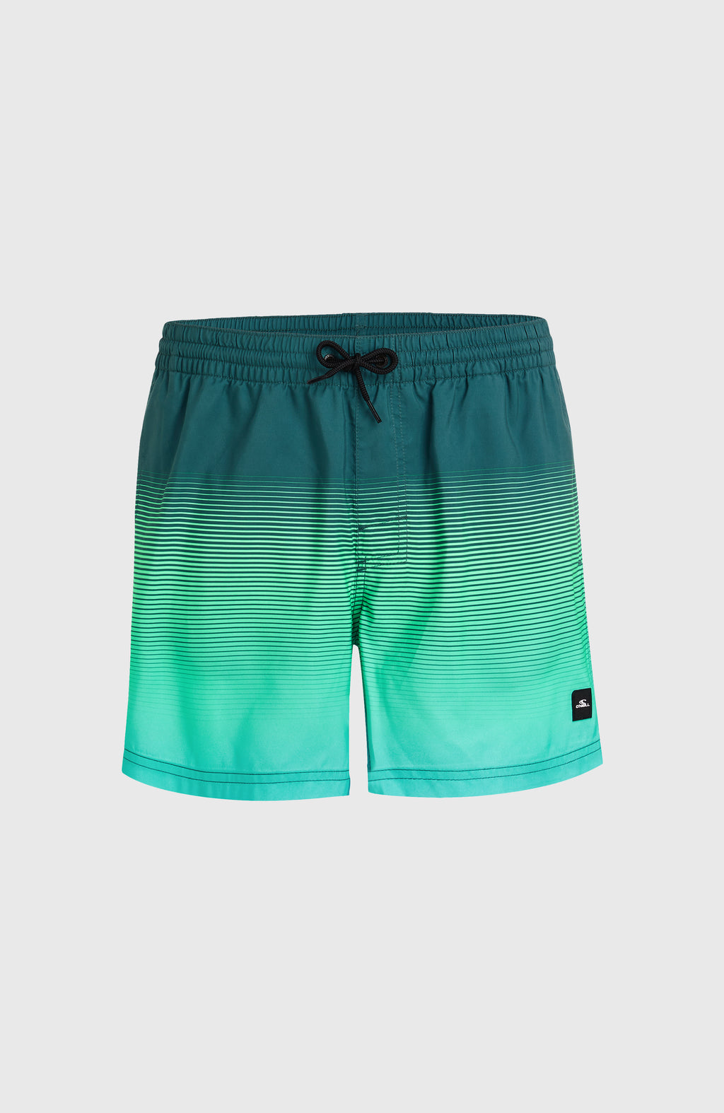 CALI GRADIENT 15'' VOLLEYS