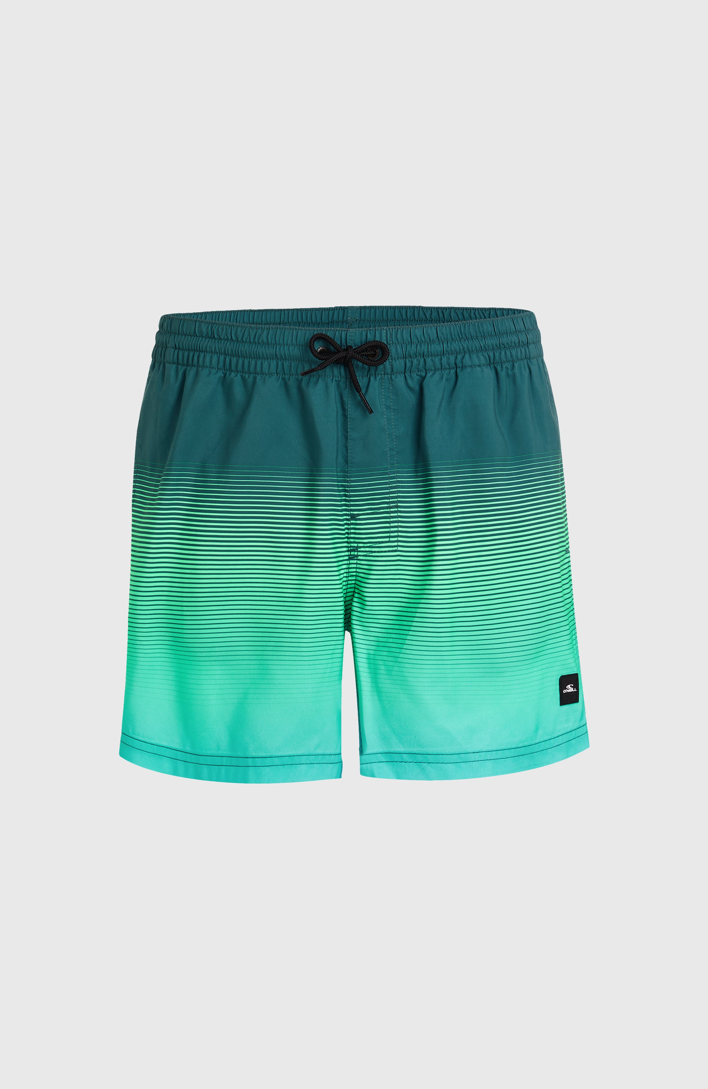 CALI GRADIENT 15'' VOLLEYS