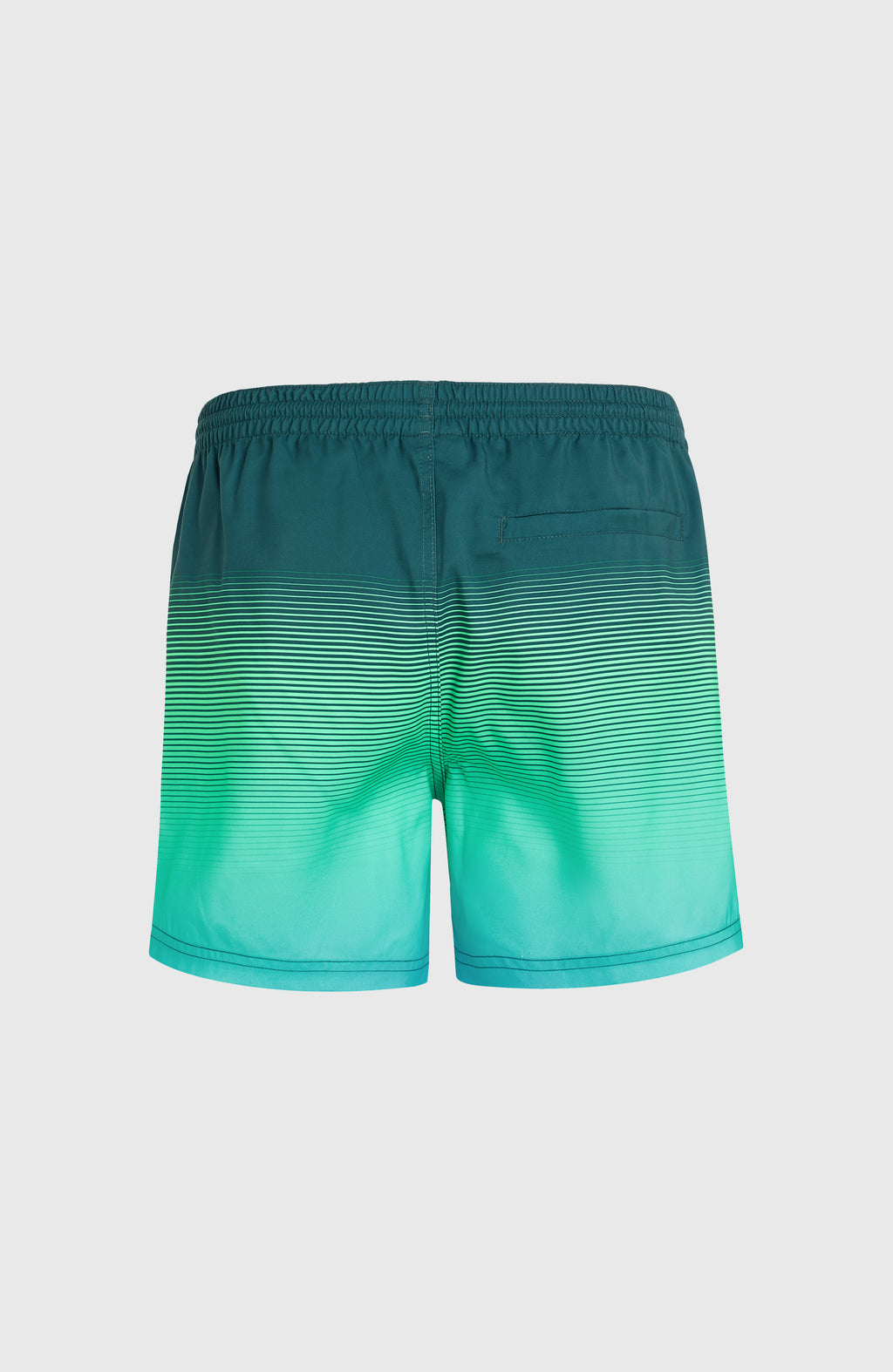 CALI GRADIENT 15'' VOLLEYS