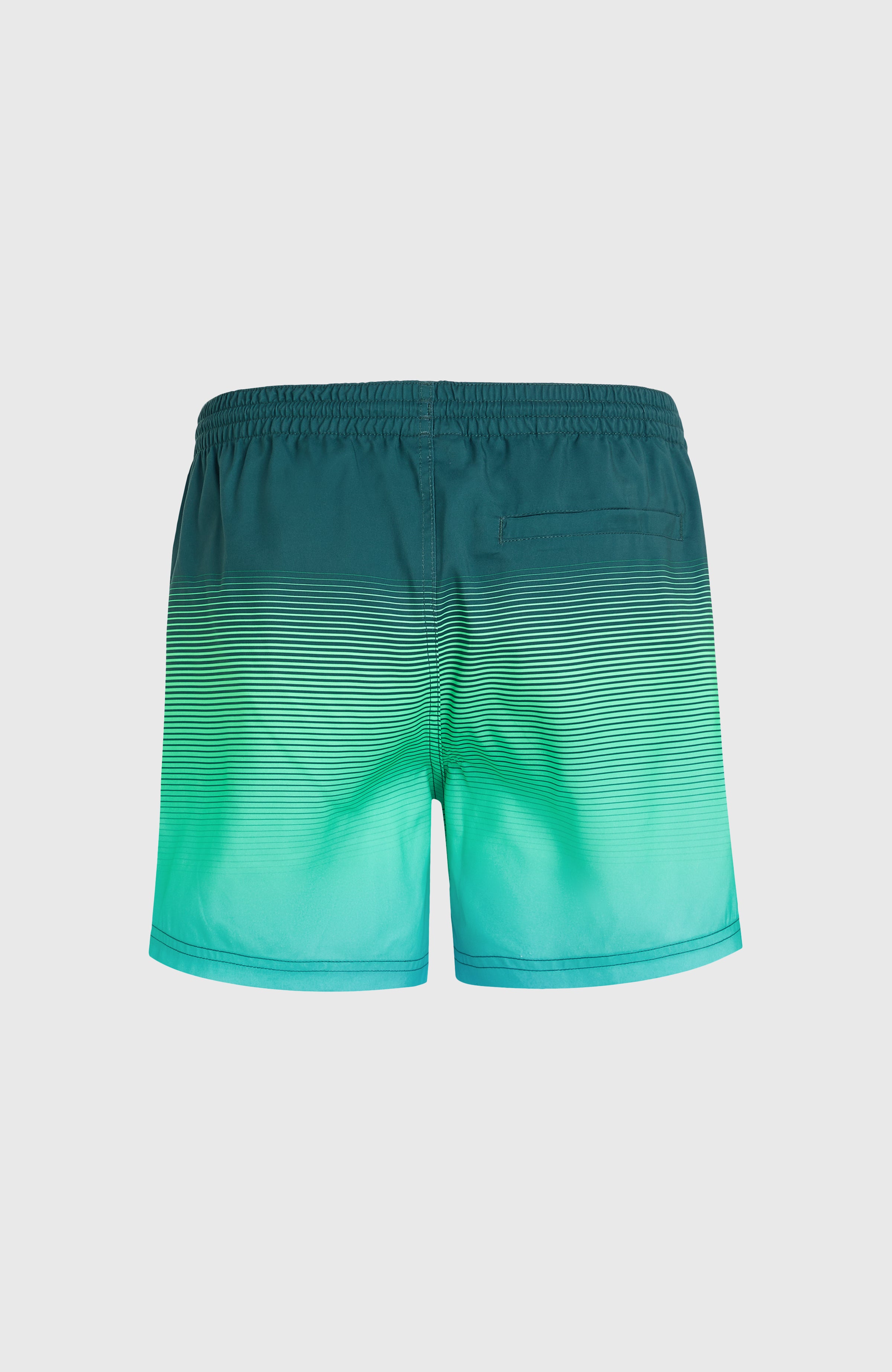 CALI GRADIENT 15'' VOLLEYS
