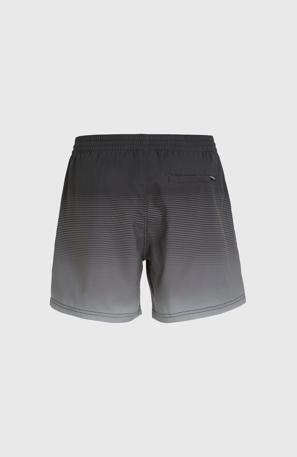 CALI GRADIENT 15'' VOLLEYS