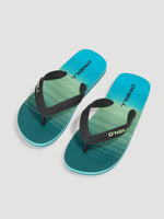 PROFILE GRAPHIC SLIDES