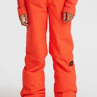 ANVIL SNOW PANT