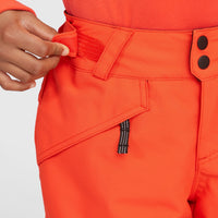 ANVIL SNOW PANT