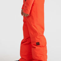 ANVIL SNOW PANT