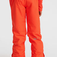 ANVIL SNOW PANT