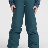 ANVIL SNOW PANT