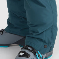 ANVIL SNOW PANT