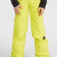 ANVIL SNOW PANT