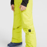 ANVIL SNOW PANT