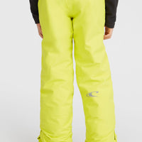 ANVIL SNOW PANT