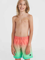 CALI GRADIENT 14'' SWIM SHORTS