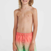 CALI GRADIENT 14'' SWIM SHORTS