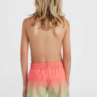 CALI GRADIENT 14'' SWIM SHORTS