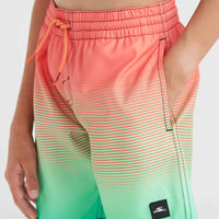 CALI GRADIENT 14'' SWIM SHORTS