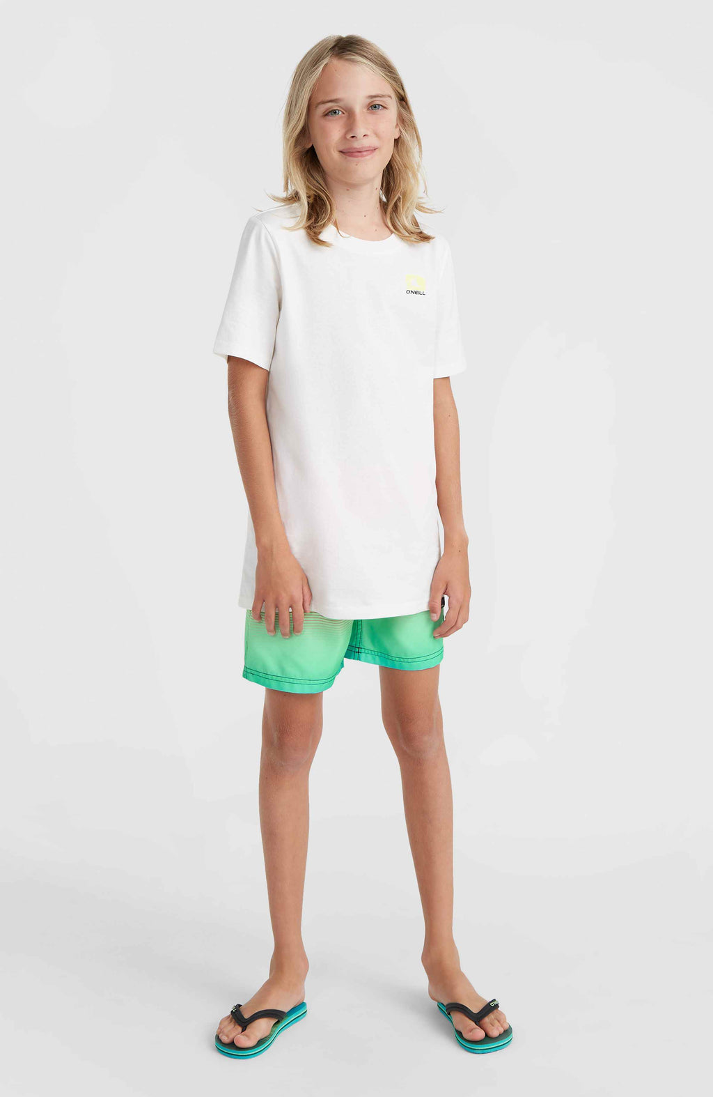 CALI GRADIENT 14'' SWIM SHORTS