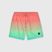 CALI GRADIENT 14'' SWIM SHORTS