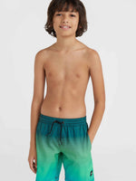 CALI GRADIENT 14'' SWIM SHORTS