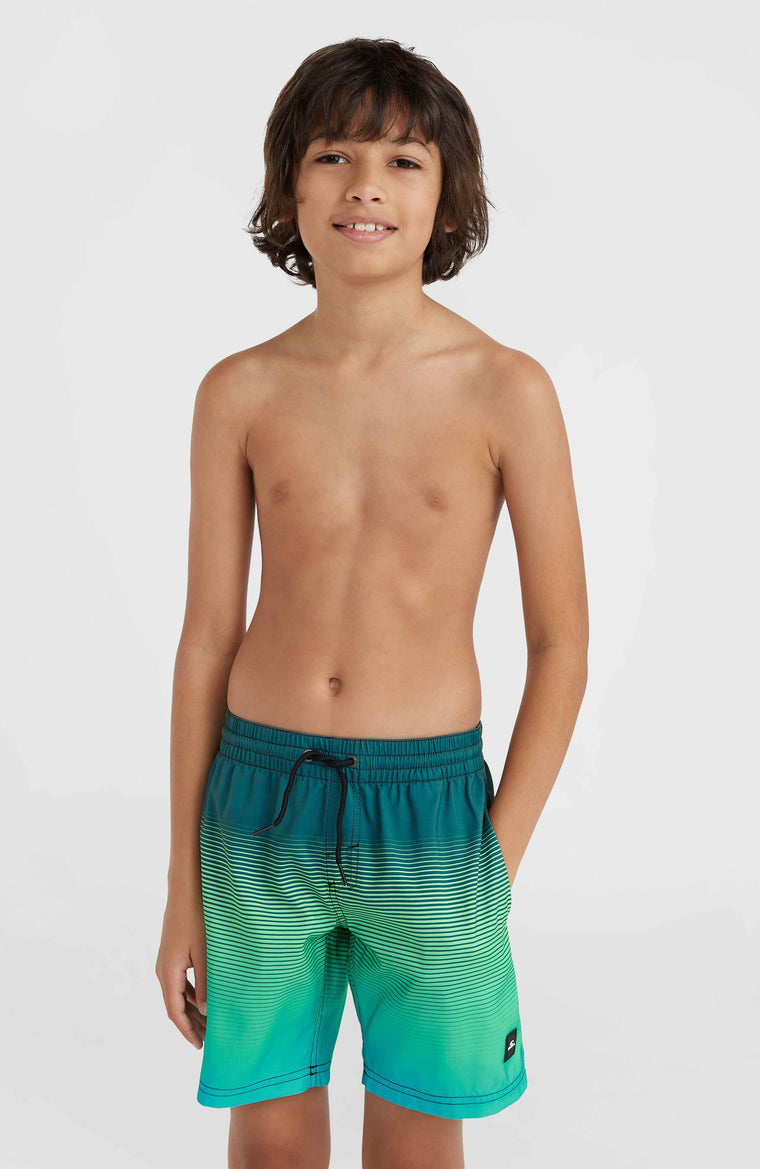 CALI GRADIENT 14'' SWIM SHORTS