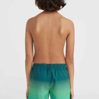 CALI GRADIENT 14'' SWIM SHORTS