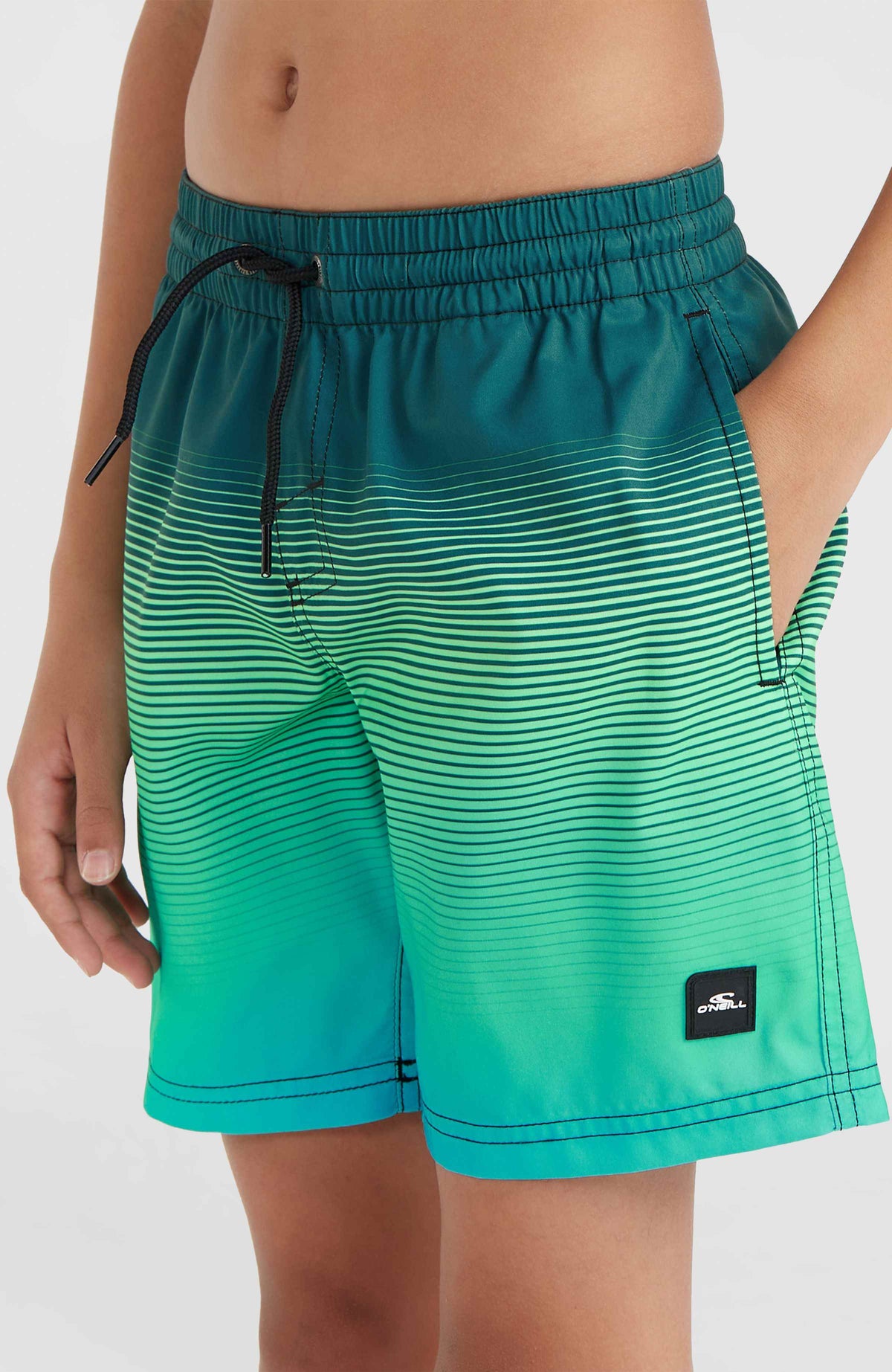 CALI GRADIENT 14'' SWIM SHORTS