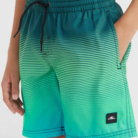 CALI GRADIENT 14'' SWIM SHORTS