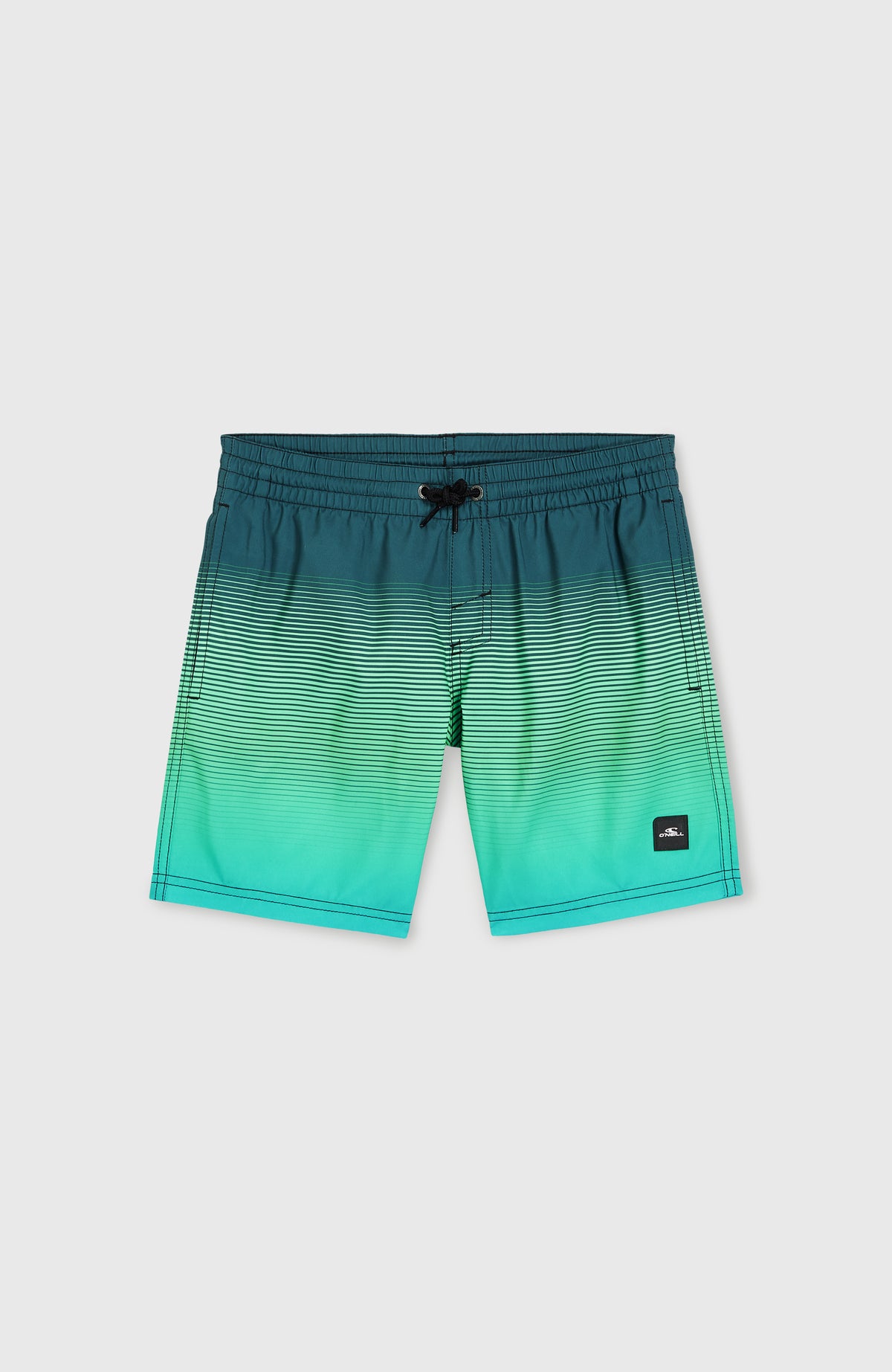 CALI GRADIENT 14'' SWIM SHORTS