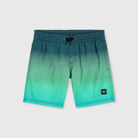 CALI GRADIENT 14'' SWIM SHORTS