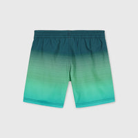 CALI GRADIENT 14'' SWIM SHORTS