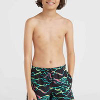 CALI CRAZY 14'' SWIM SHORTS