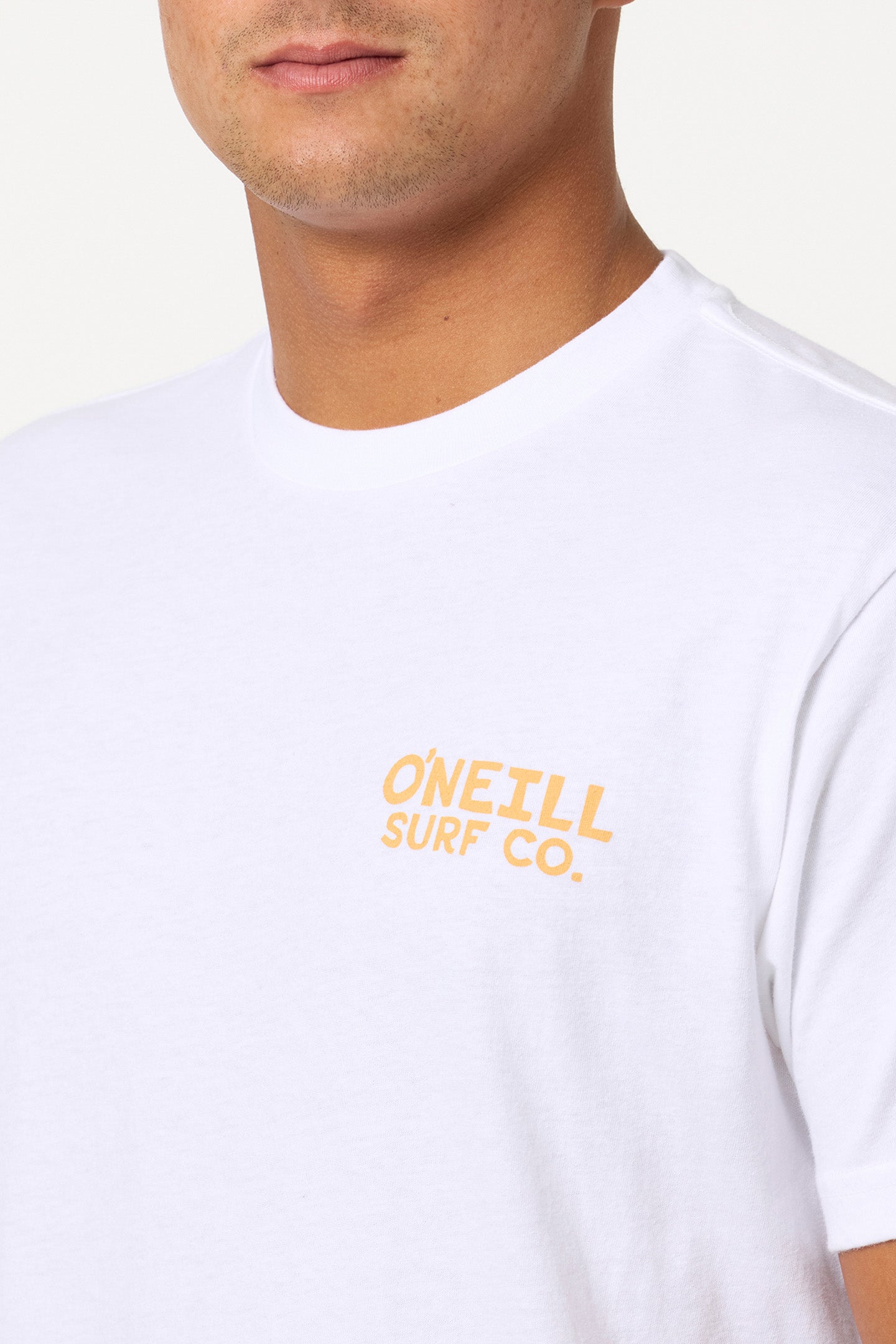 STEVEN SEAGULL TEE