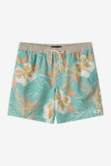 HERMOSA LINED  VOLLEY 17``