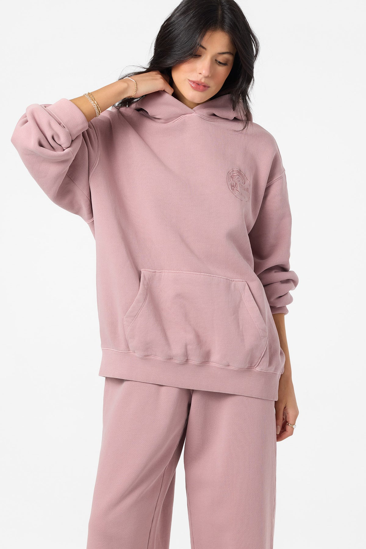 OG CIRCLE SURFER VINTAGE HOODIE