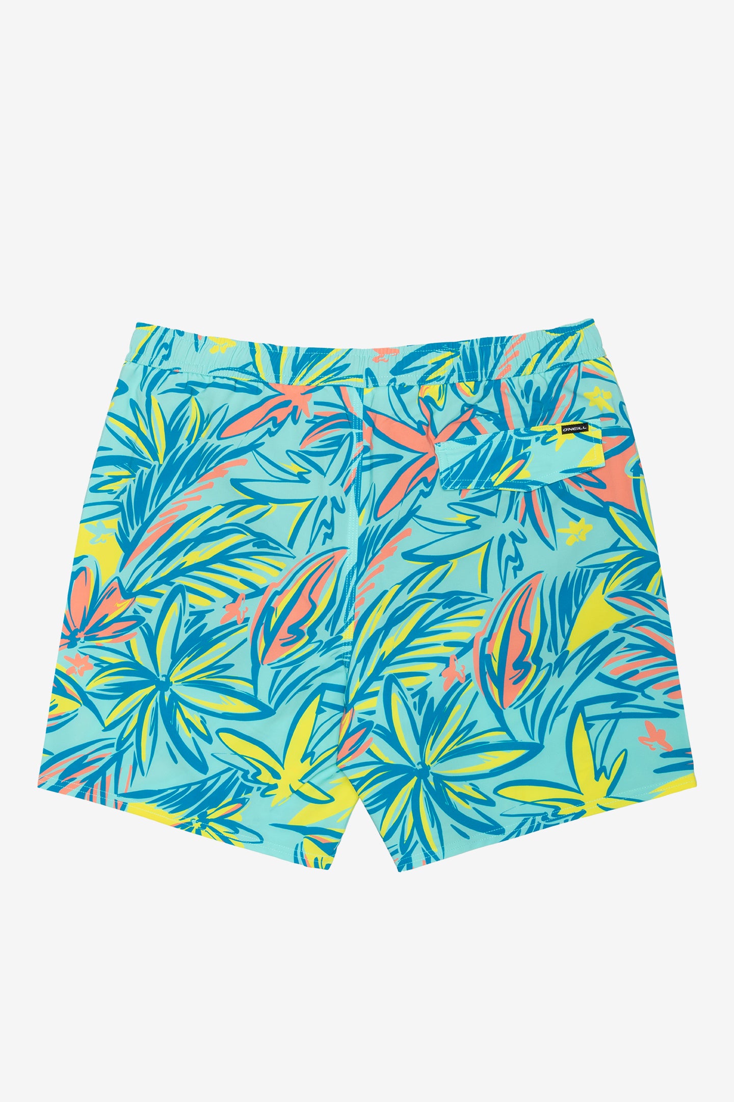 COASTAL 18'' VOLLEY