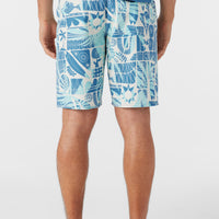 HYPERFREAK MYSTO 20'' BOARDSHORT