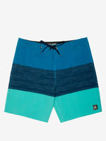 HYPERFREAK HEAT  STRIPE 19'' BOARDSHORT